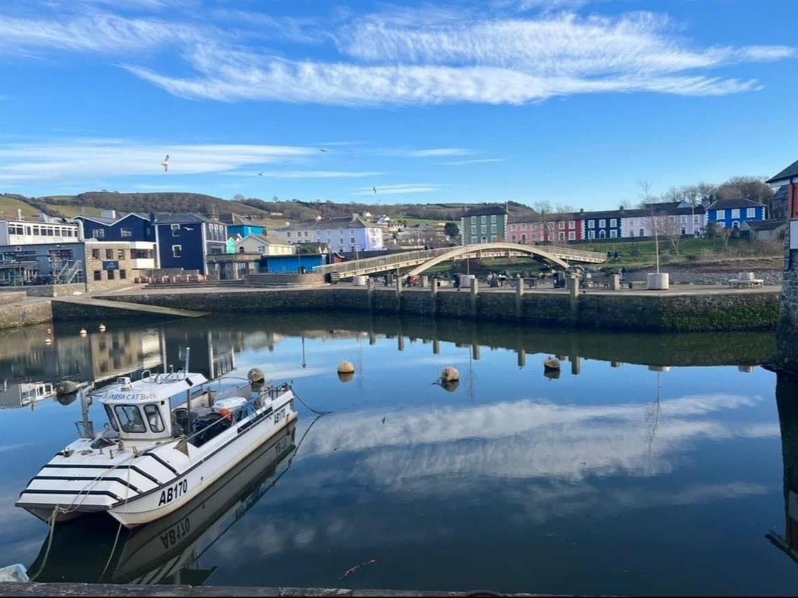 Nant Meigan, Georgian Townhouse In Centre Of Aberaeron, Dog Friendly Экстерьер фото